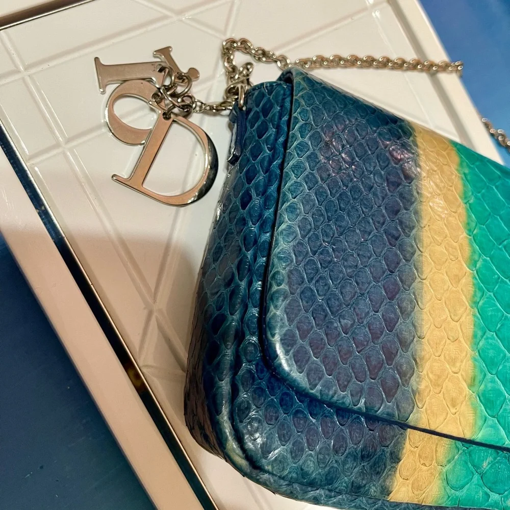 Dior Blue Python & Leather WOC Bag - Picture 8 of 16